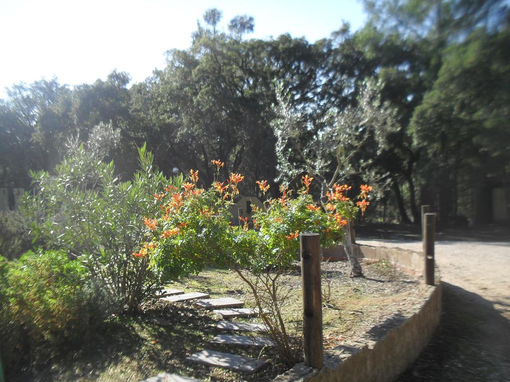 Villa Quinta Do Outeiro Alto Constância Esterno foto