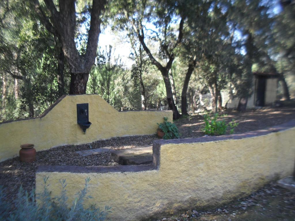 Villa Quinta Do Outeiro Alto Constância Esterno foto