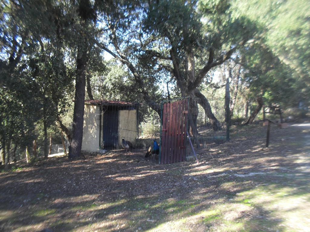 Villa Quinta Do Outeiro Alto Constância Esterno foto