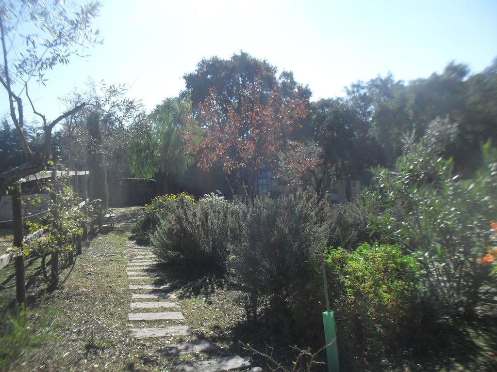 Villa Quinta Do Outeiro Alto Constância Esterno foto