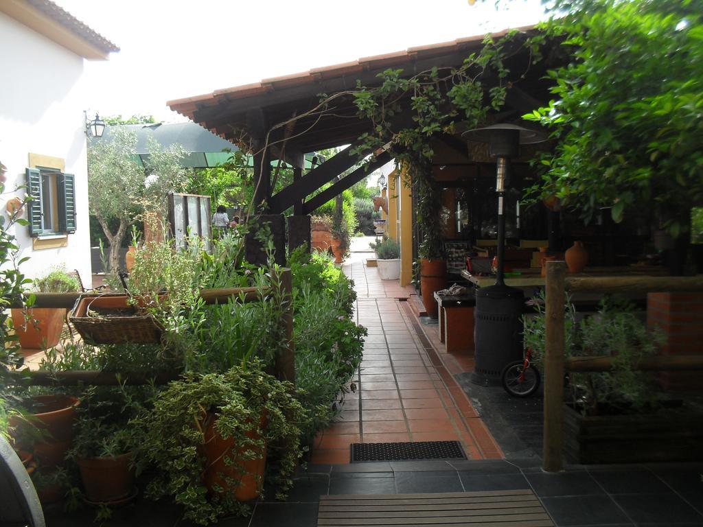 Villa Quinta Do Outeiro Alto Constância Esterno foto