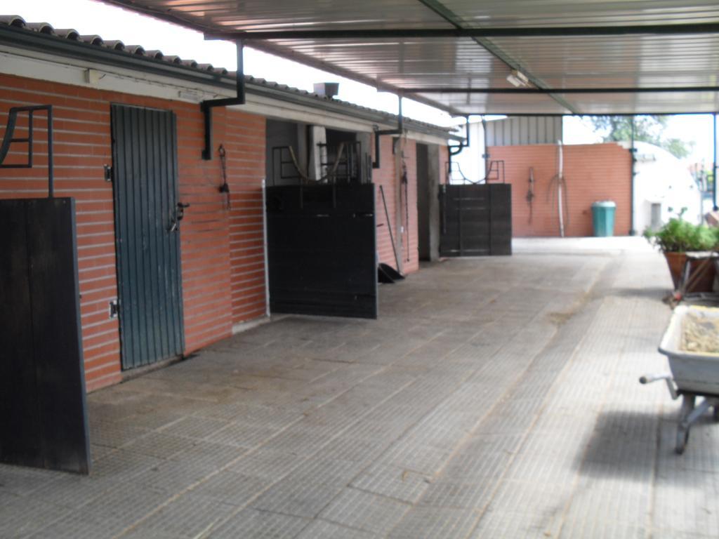 Villa Quinta Do Outeiro Alto Constância Esterno foto